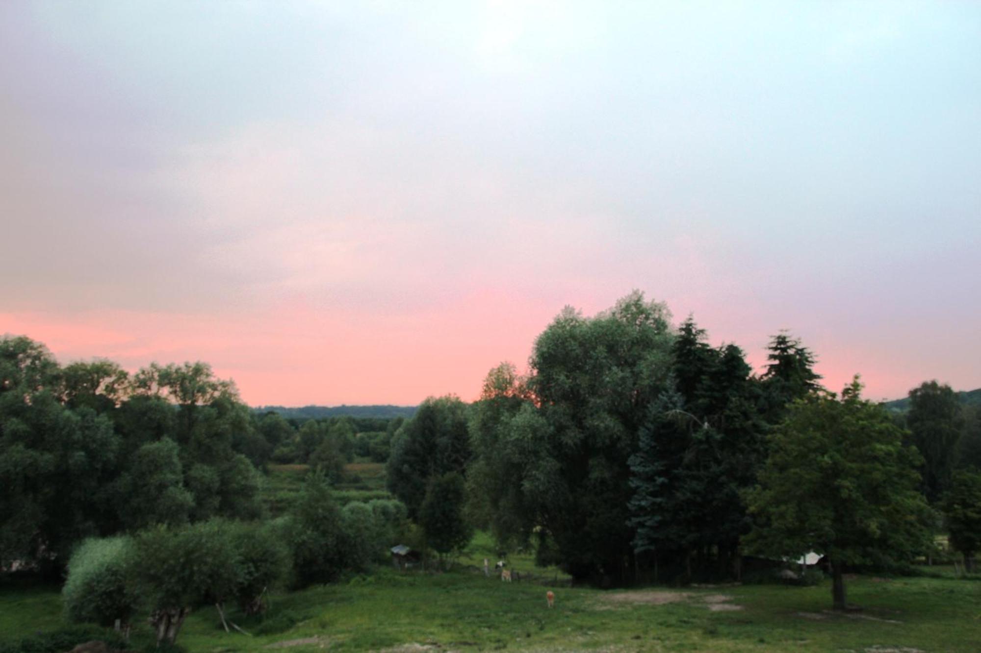 Hotel Thormaehlen Bliestorf Екстериор снимка